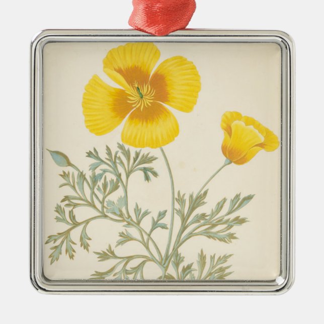 Adorno Metálico Eschscholtzia californiano (Frente)