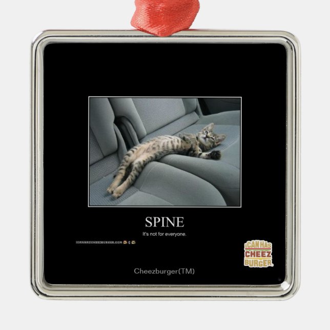 Adorno Metálico Espina dorsal (Frente)