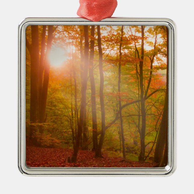 Adorno Metálico Esplendor del otoño (Frente)