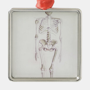 Adorno Metálico Esqueleto de Australopithecus africanus