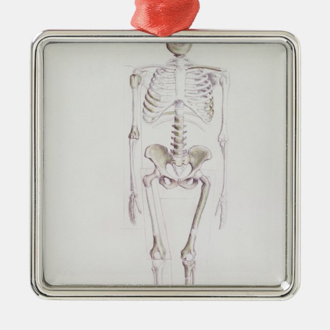 Adorno Metálico Esqueleto de Australopithecus africanus (Frente)