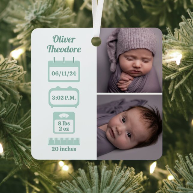 Adorno Metálico Estadísticas de recién nacidos verdes (in situ)