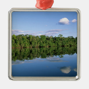 Adorno Metálico Estado de Mato Grosso, Amazonia, Brasil. Bosque