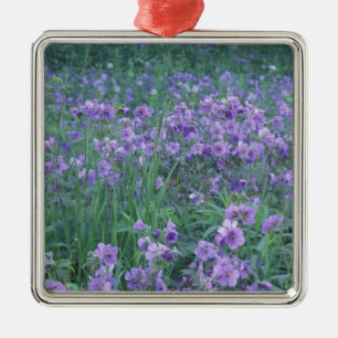 Adorno Metálico Estados Unidos, Alaska, Hillberg Lake Wilderness