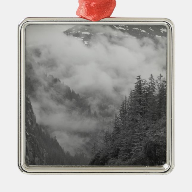 Adorno Metálico Estados Unidos, Alaska, Juneau, la selva tropical  (Frente)