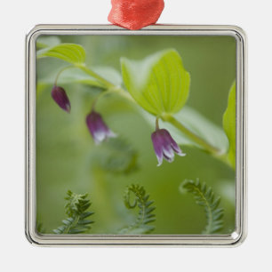 Adorno Metálico Estados Unidos, Alaska, Parque Nacional Glacier Ba