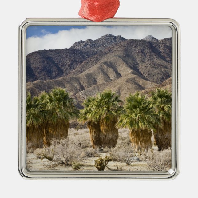 Adorno Metálico Estados Unidos, California, Parque Estatal del Des