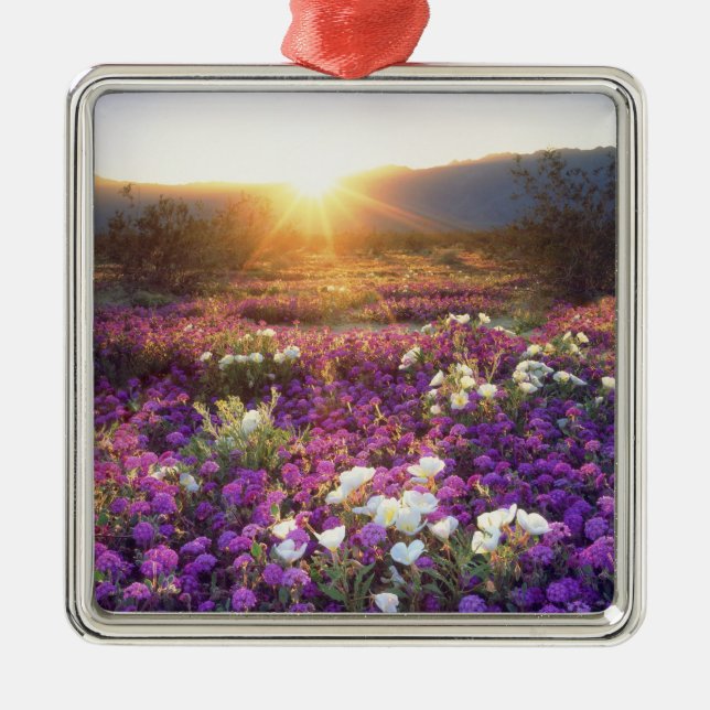 Adorno Metálico Estados Unidos, California, Parque Estatal del Des (Frente)