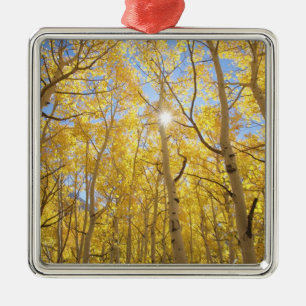 Adorno Metálico Estados Unidos, California, Sierra Nevada.Caída