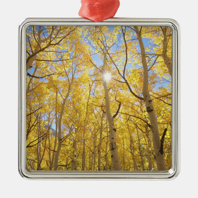 Adorno Metálico Estados Unidos, California, Sierra Nevada.Caída (Frente)