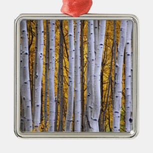 Adorno Metálico Estados Unidos, Colorado, Montañas Rocosas. Escen