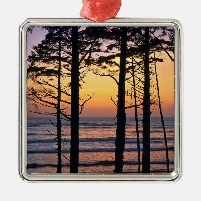 Adorno Metálico Estados Unidos, Estado de Washington, NP olímpico. (Frente)