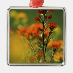 Adorno Metálico Estados Unidos, Michigan, Isla Drummond, Llanuras 