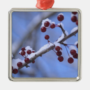 Adorno Metálico Estados Unidos, Nueva Inglaterra, Massachusetts, R