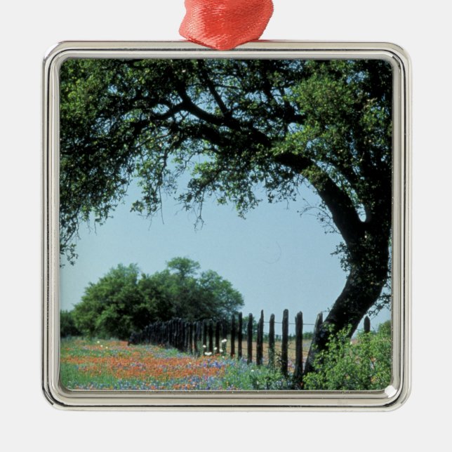 Adorno Metálico Estados Unidos, Texas, Texas Hill Country Paintcel (Frente)