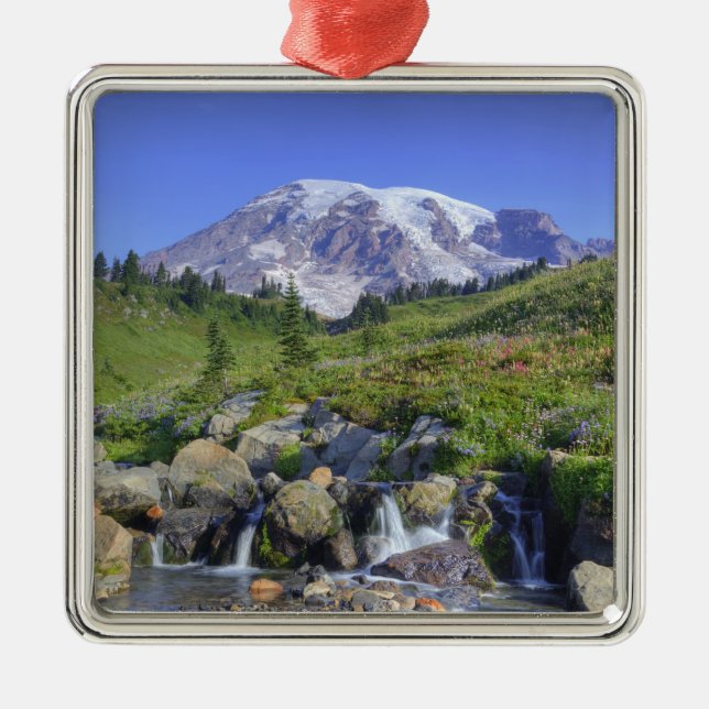 Adorno Metálico Estados Unidos, Washington, Monte Rainier NP, Mont (Frente)