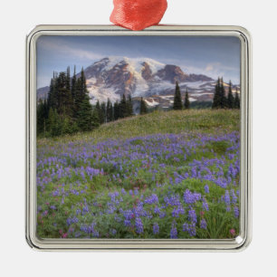 Adorno Metálico Estados Unidos, Washington, Monte Rainier NP, Mont
