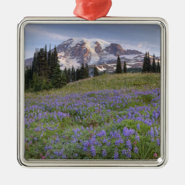 Adorno Metálico Estados Unidos, Washington, Monte Rainier NP, Mont (Frente)