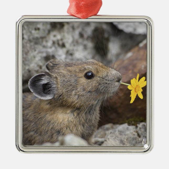 Adorno Metálico Estados Unidos, Washington, North Cascades Nationa (Frente)