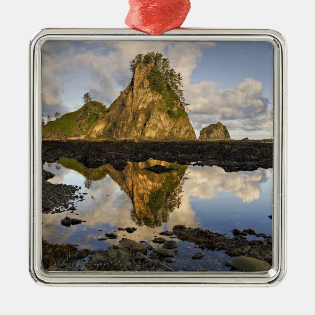 Adorno Metálico Estados Unidos, Washington, Parque Nacional Olímpi (Frente)