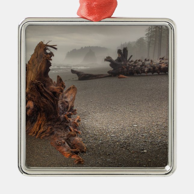 Adorno Metálico Estados Unidos, Washington, Parque Nacional Olímpi (Frente)