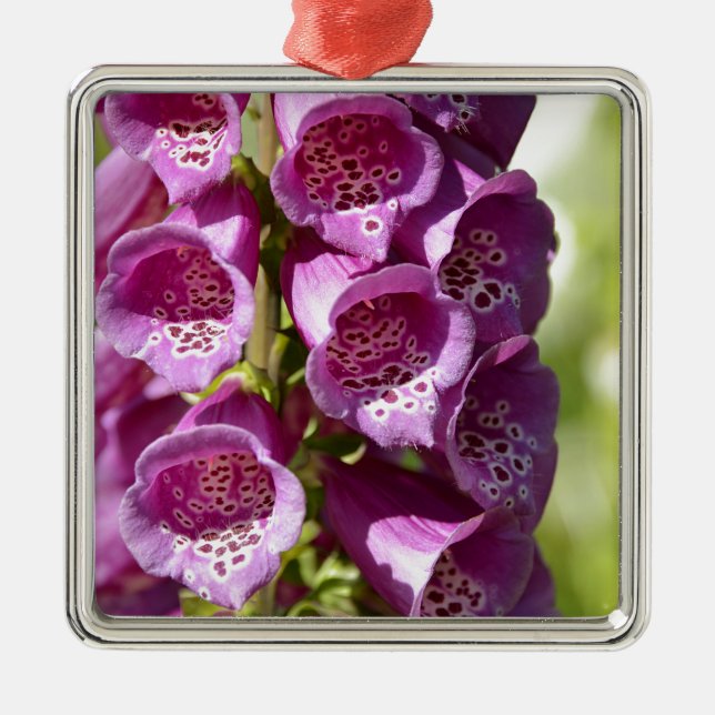 Adorno Metálico Estopa púrpura (Frente)