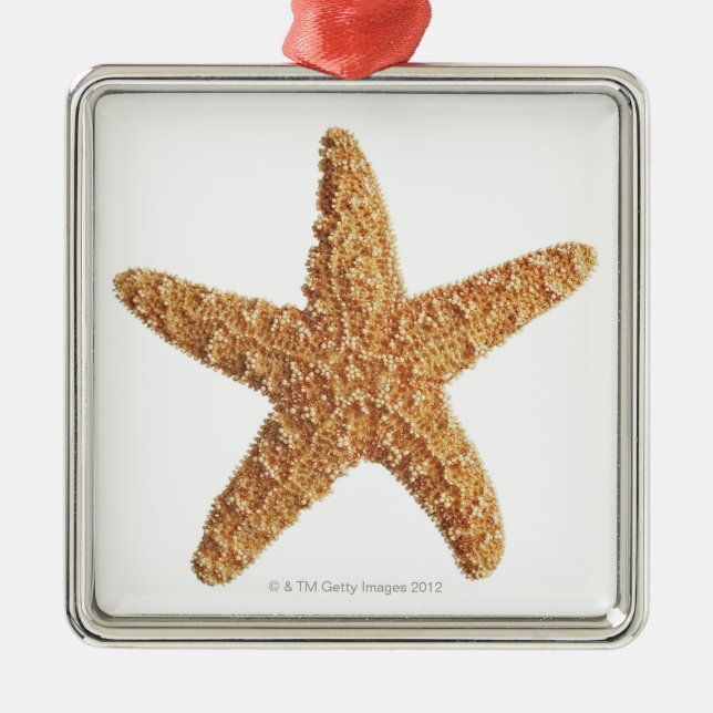 Adorno Metálico Estrellas de mar en blanco (Frente)