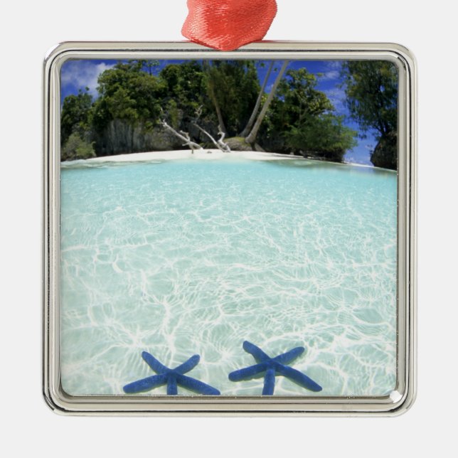 Adorno Metálico Estrellas de mar, Islas Roca, Palaos (Frente)