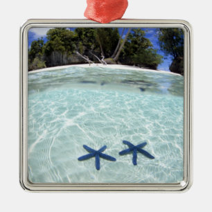 Adorno Metálico Estrellas de mar, Islas Roca, Palaos 2