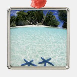 Adorno Metálico Estrellas marinas, Islas Rock, Palau