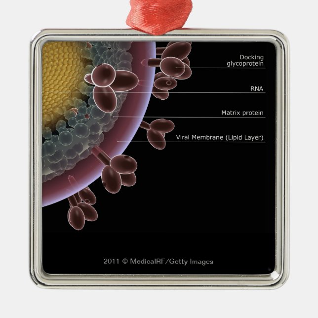 Adorno Metálico Estructura de una célula del VIH (Frente)