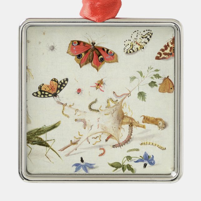 Adorno Metálico Estudio de insectos y de flores (Frente)