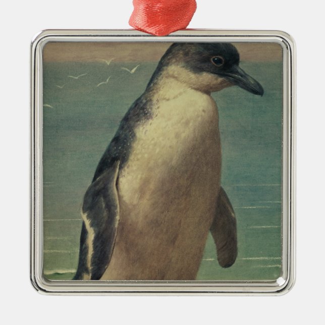 Adorno Metálico Estudio de un pingüino (Frente)