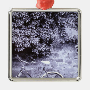 Adorno Metálico Europa, Alemania, Baden, Wurttemberg, Heidelberg.2