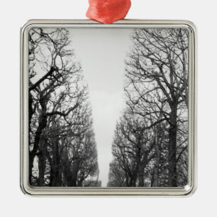 Adorno Metálico Europa, Francia, París. Árboles de invierno, Mar