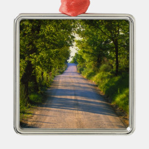 Adorno Metálico Europa, Italia, Toscana, carretera arbolada