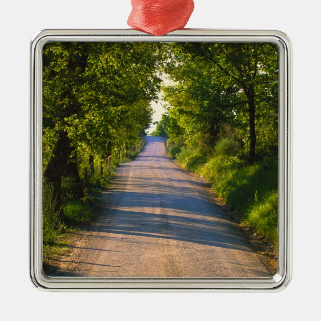 Adorno Metálico Europa, Italia, Toscana, carretera arbolada (Frente)