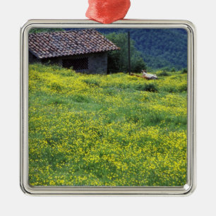 Adorno Metálico Europa, Italia, Toscana, Siena, Chianti.