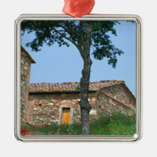 Adorno Metálico Europa, Italia, Toscana, villa abandonada en