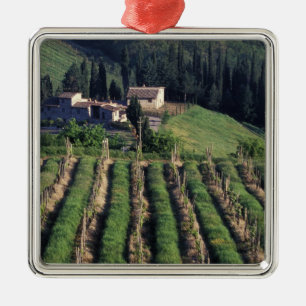 Adorno Metálico Europa, Italia, Toscana. Villa escénica chipre.