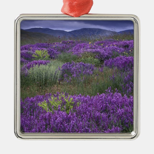 Adorno Metálico Europa, Turquía, Cappadocia. Paisaje rural 2 (Frente)