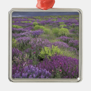 Adorno Metálico Europa, Turquía, Cappadocia. Paisaje rural 3