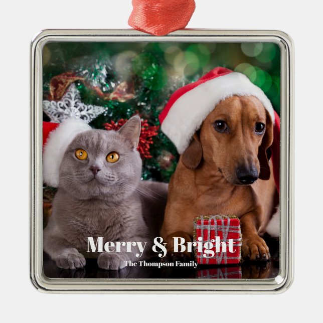Adorno Metálico Familia de fotos de mascota Merry y Bright (Frente)