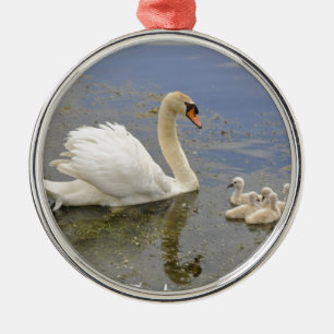 Adorno Metálico Familia del cisne