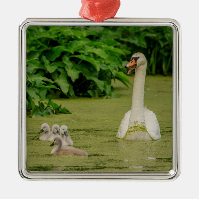 Adorno Metálico Familia Swan (Frente)