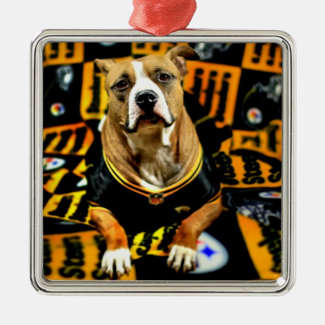 Adorno Metálico Fanático de Pitbull Rescue Dog (Frente)