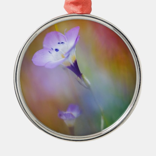 Adorno Metálico Faro Old Point Loma| Monumento al Cabrillo (Frente)