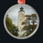 Adorno Metálico Faro Sandy Hook<br><div class="desc">Faro Sandy Hook</div>