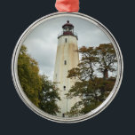 Adorno Metálico Faro Sandy Hook<br><div class="desc">Faro Sandy Hook</div>