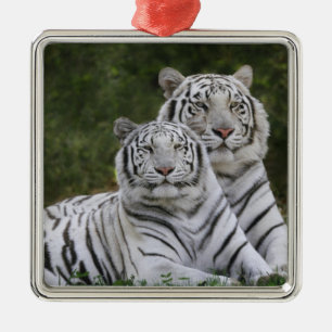Adorno Metálico Fase blanca, Tigre de Bengala, Tigris